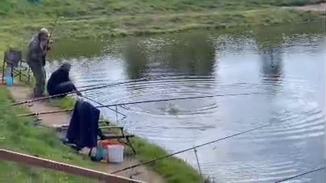 1000091429.mp4