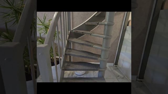 1000046602.mp4