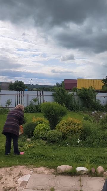 Формирую клумбу из кустиков