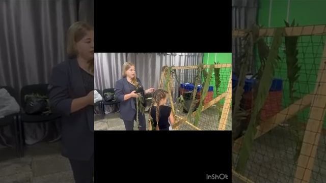 Виноградова Анастасия , мастер-класс