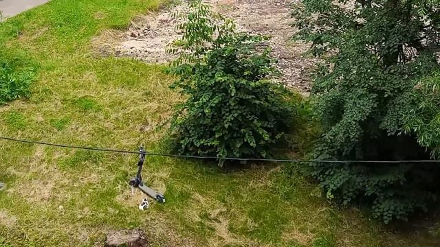 Обычный летний день