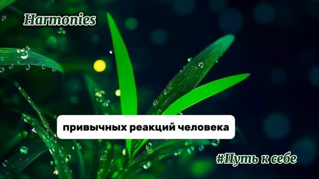 Как понять, что я обесцениванию себя? #личность #отношения