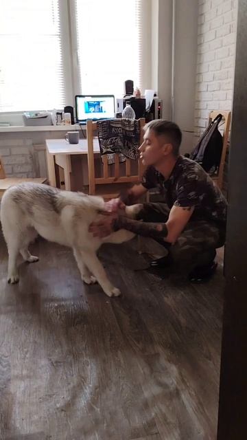 Джек просит его покормить 😊