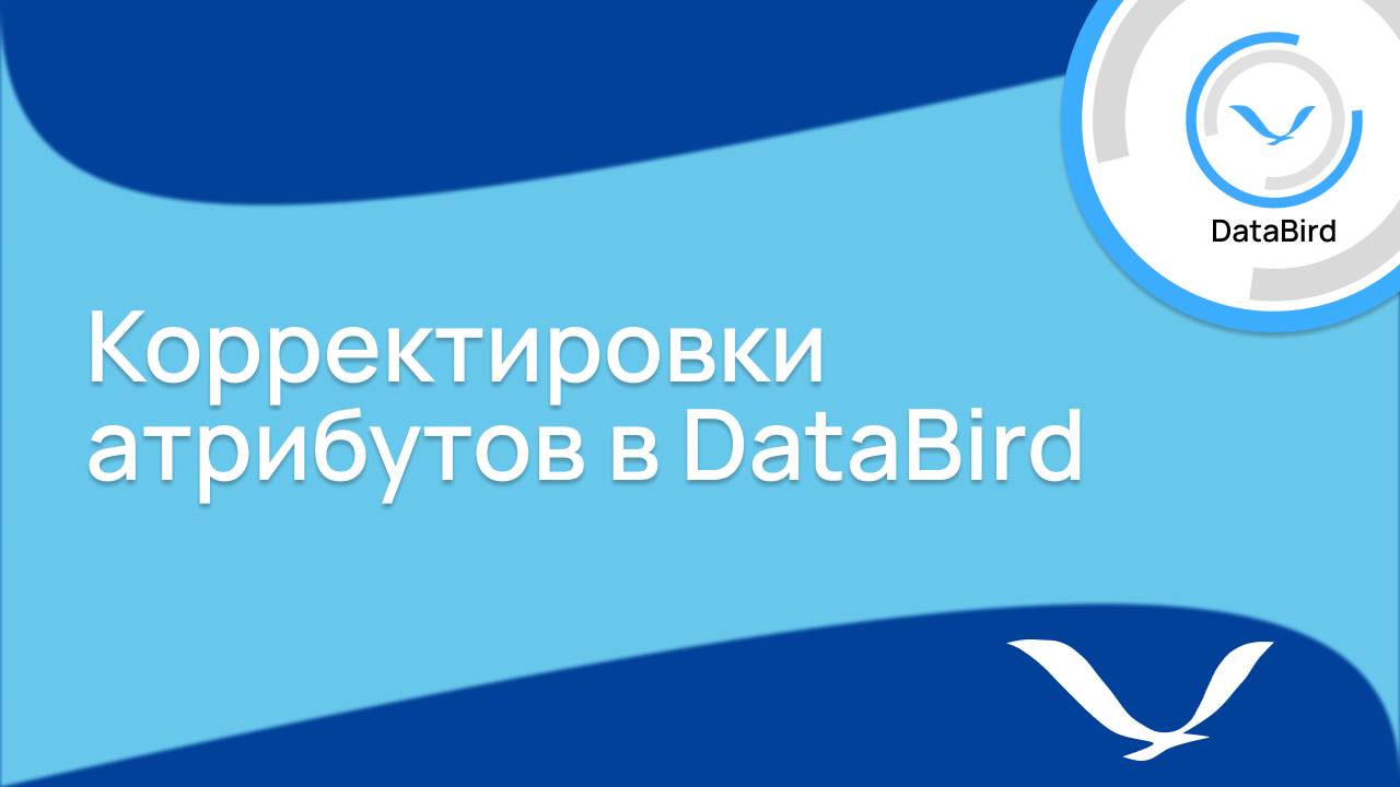 Корректировки атрибутов в DataBird
