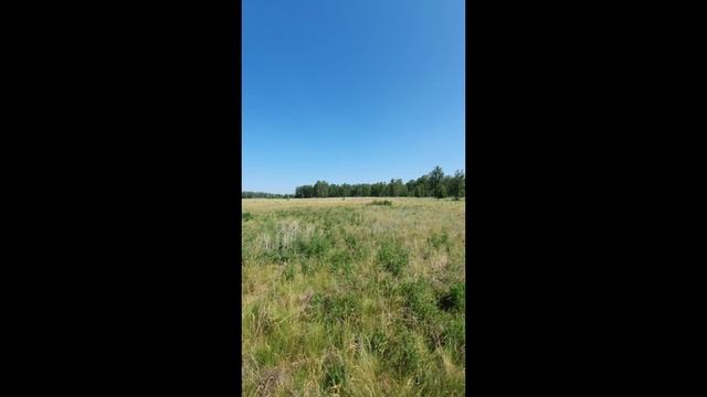 14 — сделано в Clipchamp