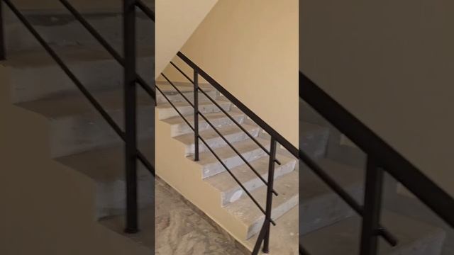 1000059517.mp4