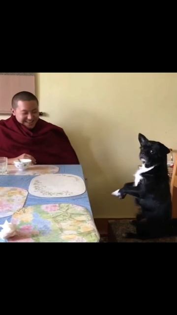 Программы туров здесь (https://t.me/Travel_Retreat_Bot?start=107734).