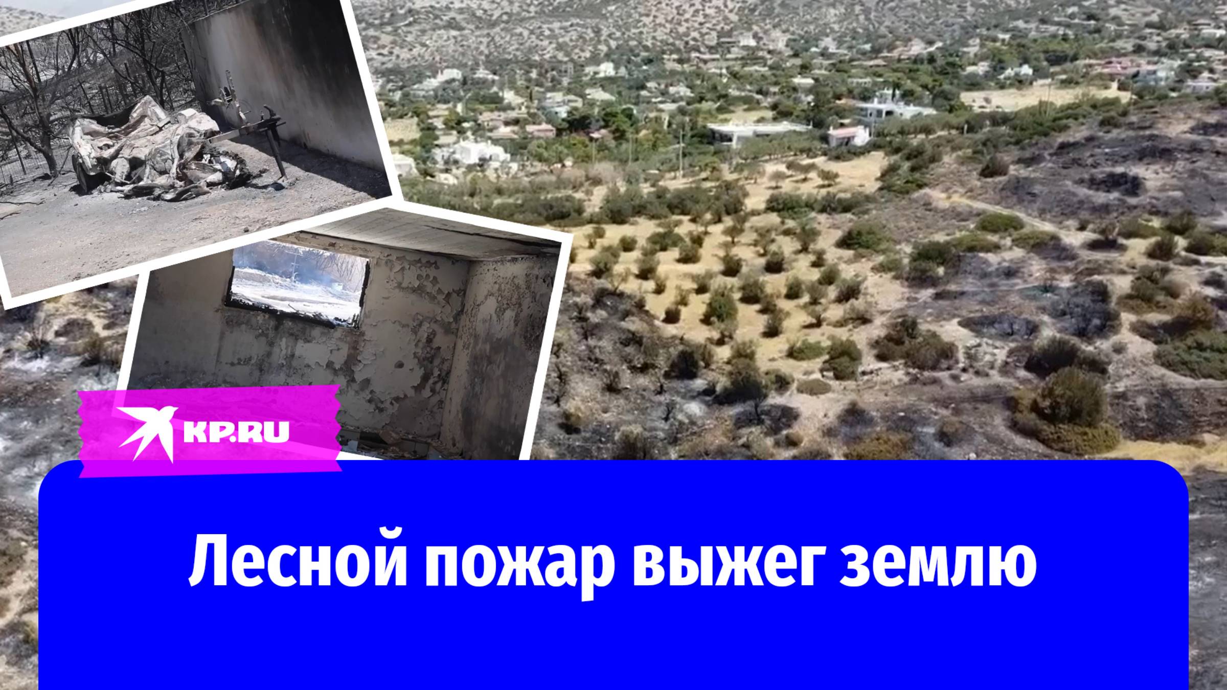 Последствия крупного лесного пожара в Греции