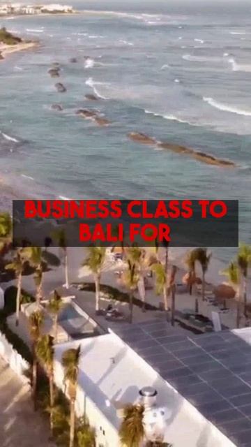 Want to fly Business Class cheap? Find incredible cheap flights and flight deals like this...
