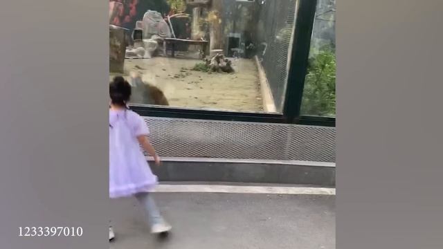 Самые СМЕШНЫЕ видео с животными 2023 года!  Трудно удержаться от смеха