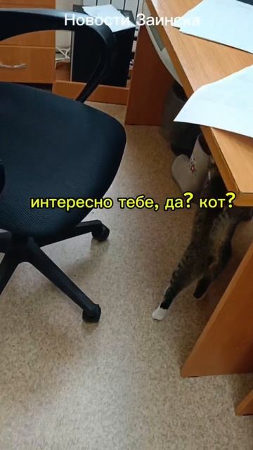 Редакцию «Заинск-информ» посетила необычная гостья