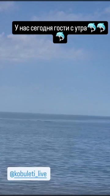 27.06.2025 дельфины резвятся Кобулети Аджария Грузия