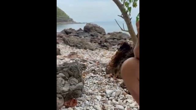 Тайланд Самуи Королевский фрукт Дуриан