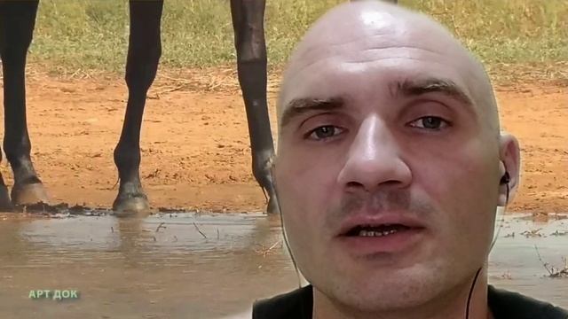 Евгений Иванов читает стих Есенина Сергей Александровича-"Этой грусти теперь не рассыпать..."