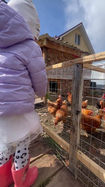 Кирилл и Алиса кормят курочек🐓