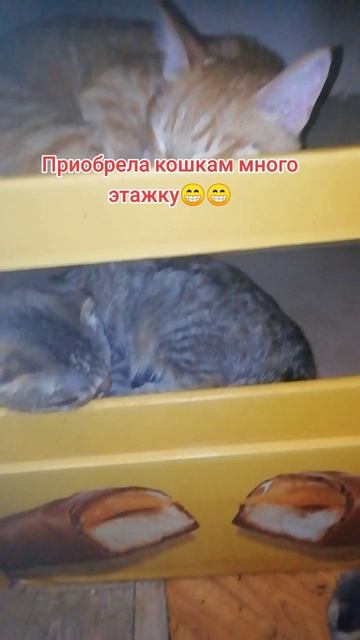 2025-06-27-201844519.mp4