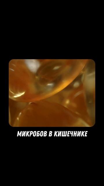 Скрытый дефицит в нашем организме  #омега3 #омега6 #жирныекислоты #здоровоепитание