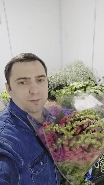 антирринум