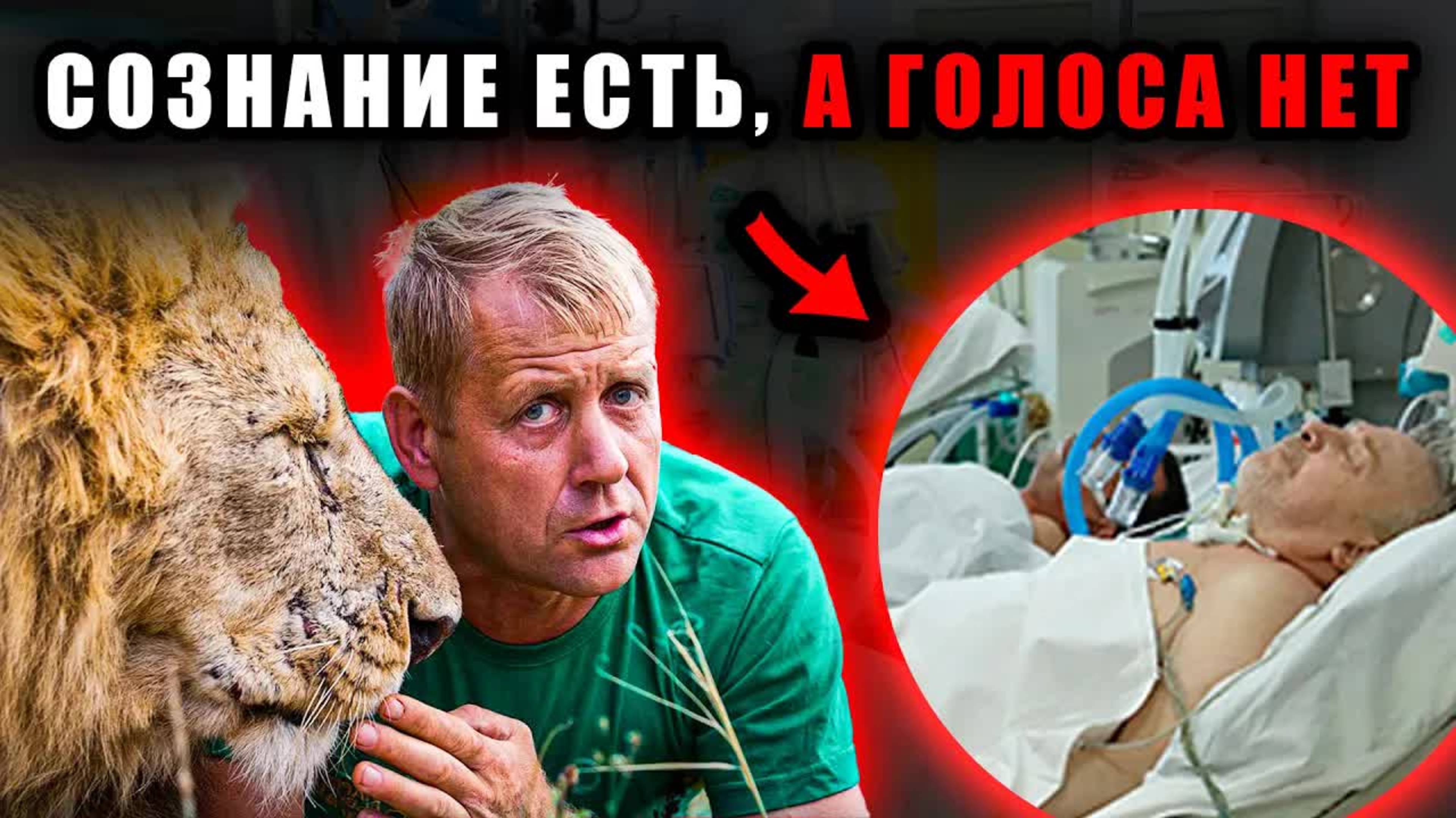 Олег Зубков очнулся после нападения льва и теперь общается с врачами только записками. Новости