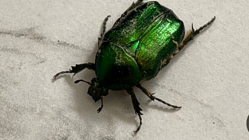 3 мин шортах?