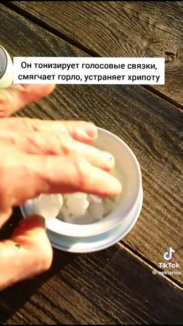 Яблоня
