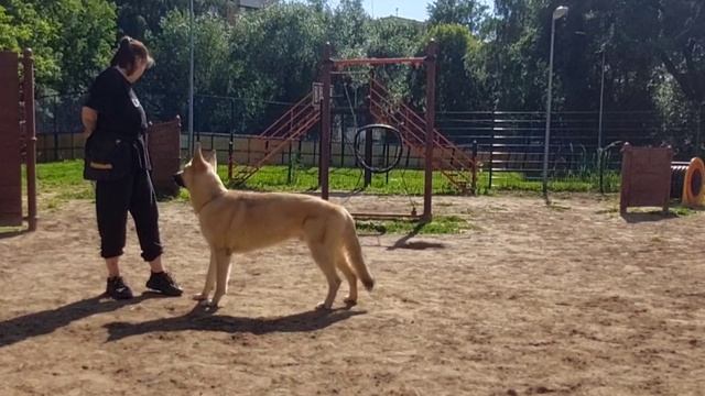 Сержант 1 год и Шамрай 3м ВЕО