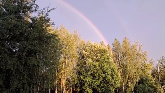 Магия дождя: двойная радуга среди деревьев 🌧️🌈