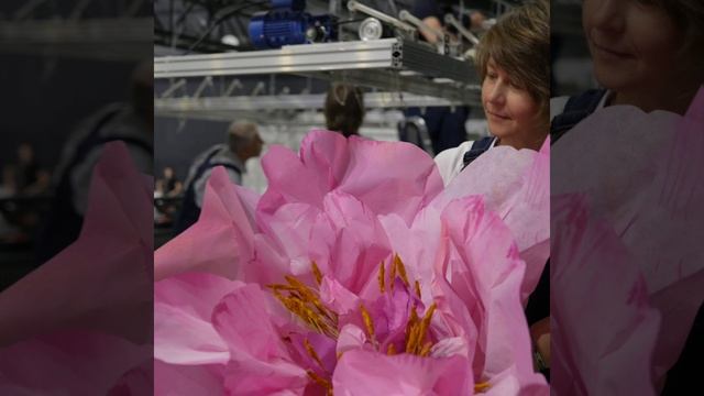 Декоративные цветы из архитектурной бумаги Peony Flower