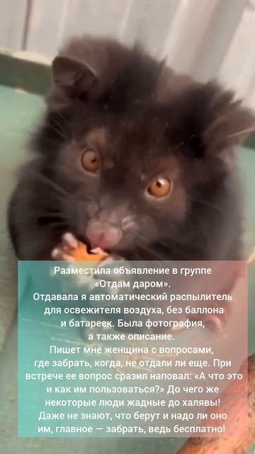 жадность человеческая