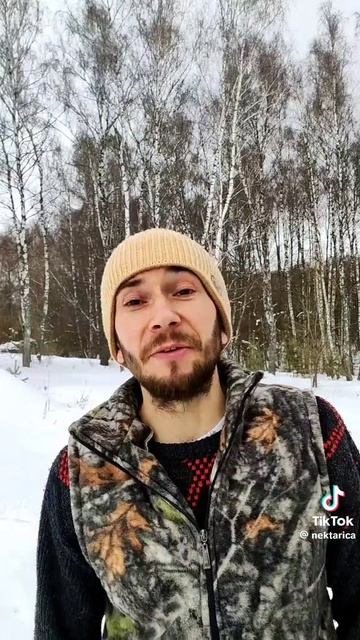 Буквица лекарственная