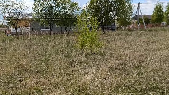 д.Цибино, ул Благодатная