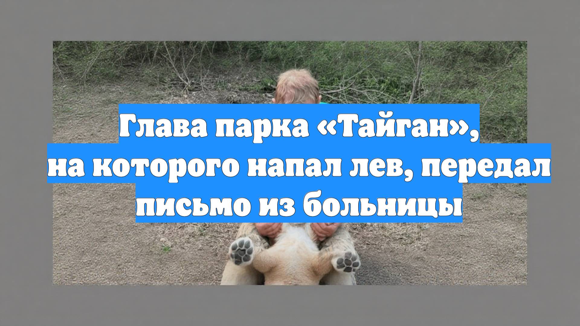 Глава парка «Тайган», на которого напал лев, передал письмо из больницы