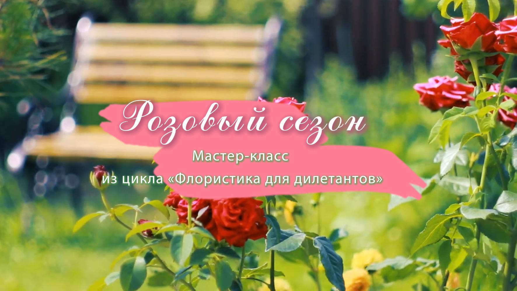 Розовый сезон