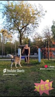 Прыгнули же...