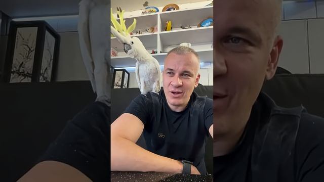 КАКАДУ - ПЁС
