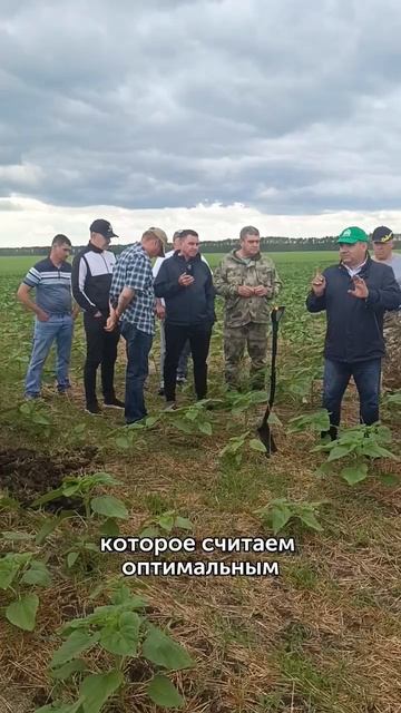 Правило успешного посева #Посев #СовременныеТехнологии #Агроном #СельскоеХозяйство #Новинки