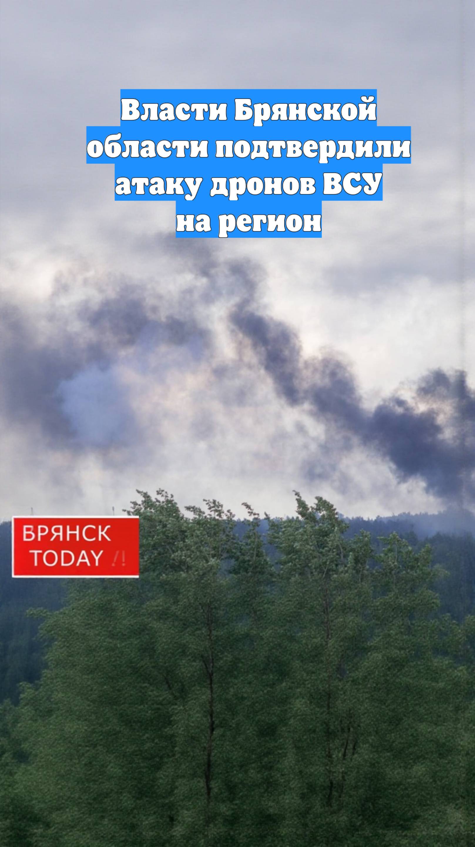 Власти Брянской области подтвердили атаку дронов ВСУ на регион