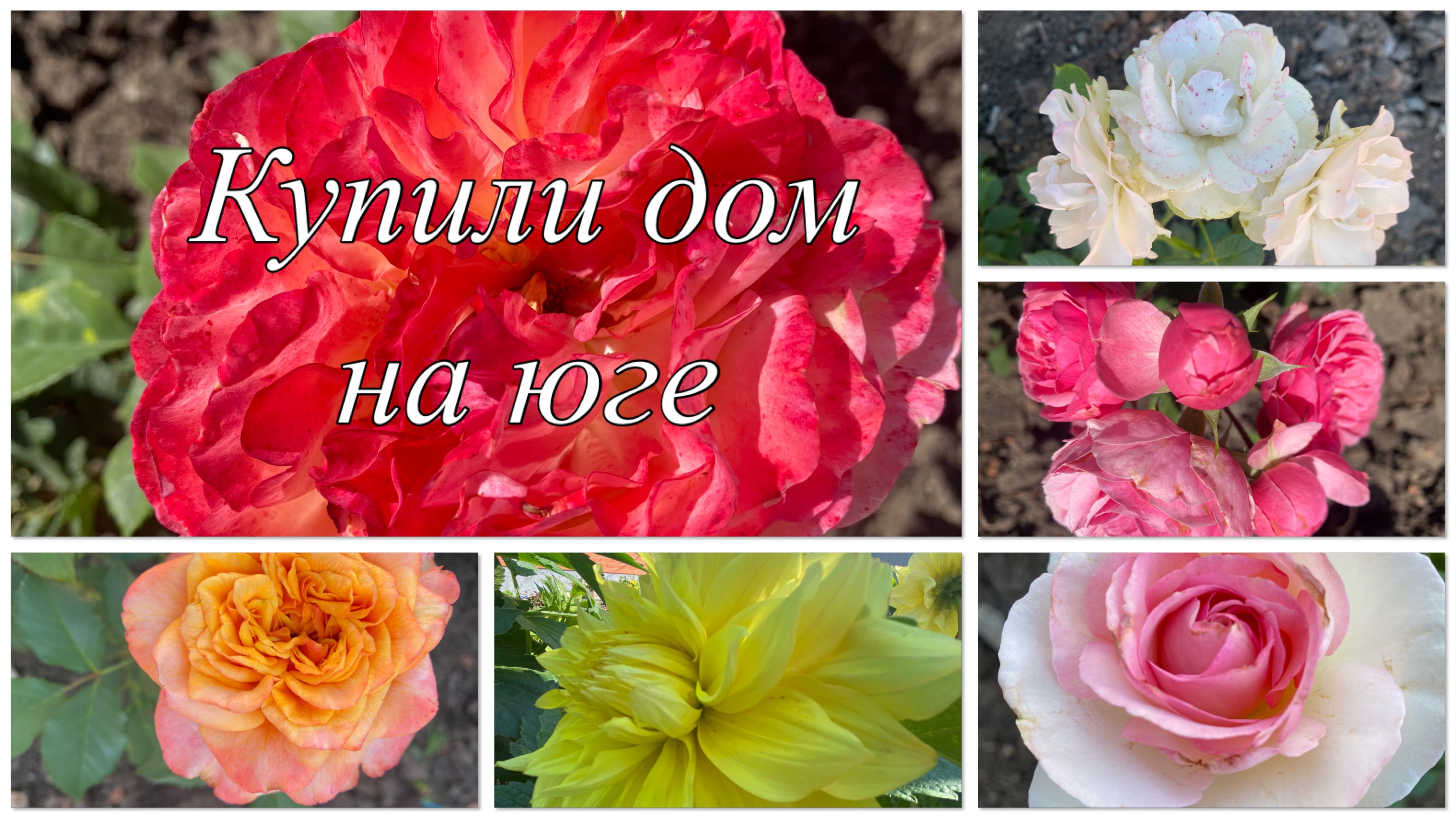 604ч🏡26.06.25-Посылка от Надежды//С плитой все нормально//Живем на юге//#ст.Ивановская