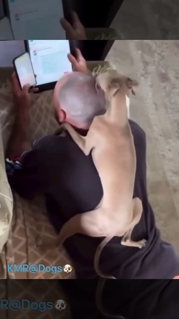 Чтобы папа был блестящим человеком😛😂