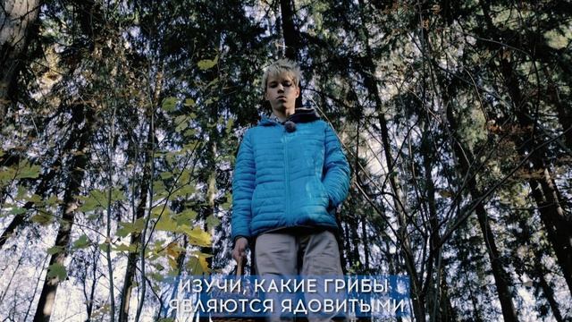 Про грибы