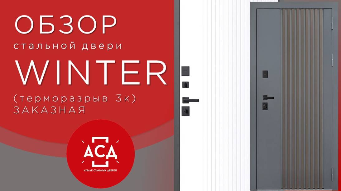 Стальная дверь Winter с терморазрывом. Заказная модель.
