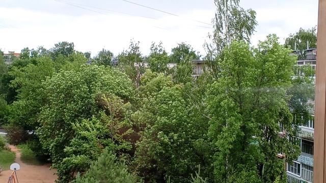 Ветренное,пасмурное утро