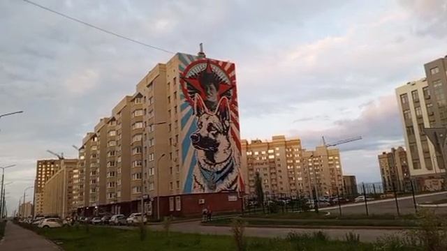 Тамбов, арт на домах