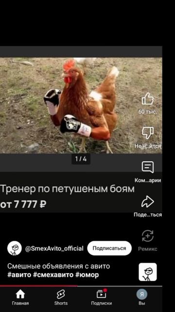 перезалив видео с ютуб (2024)