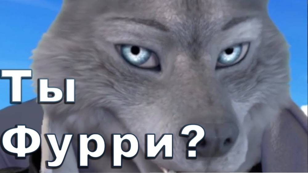 Провей свои знания насколько ты фурри