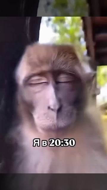 доказала не то слово😅