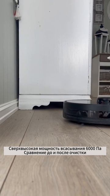 Neatsvor X600Pro стал хорошим другом кошек #neatsvor #cat #кошки #кошка #Котята #роботпылесос