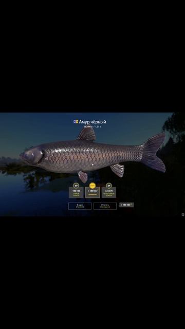 28кг Свежатинки #rf4 #рр4 #рыбалка #gameplay