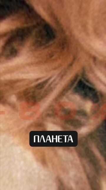 Сезонная распродажа в «Планете»!