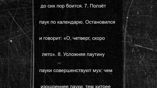 10 анекдотов про пауков